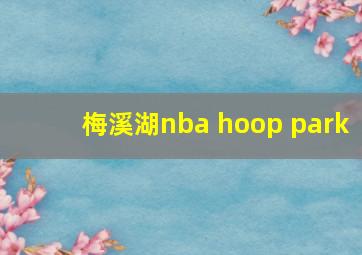 梅溪湖nba hoop park